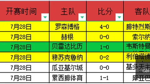 巴西乙保地花高状态解析：能否得分的关键因素